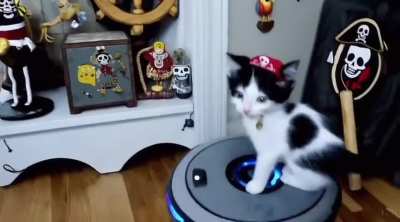 Sora &ldquo;An adorable kitten pirate riding a robot vacuum around the house&rdquo;