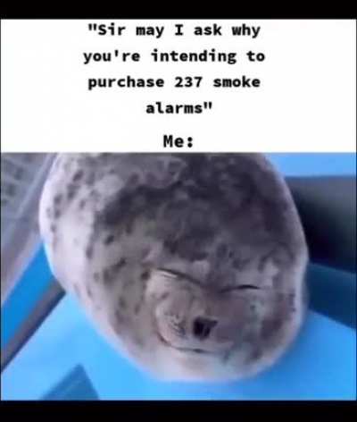 science experiment