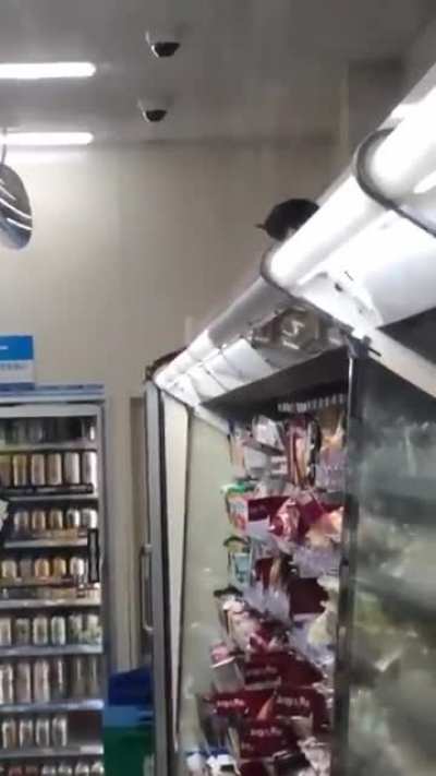 A convenience store infested with rats