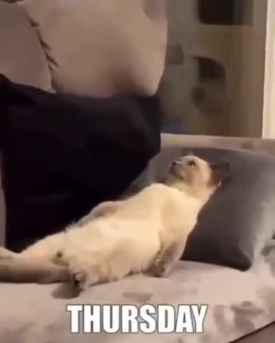 Same shit every day