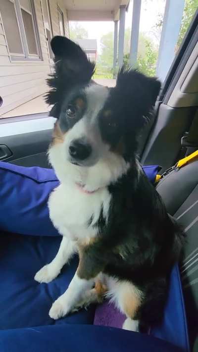 I told her that we're going to visit grandma