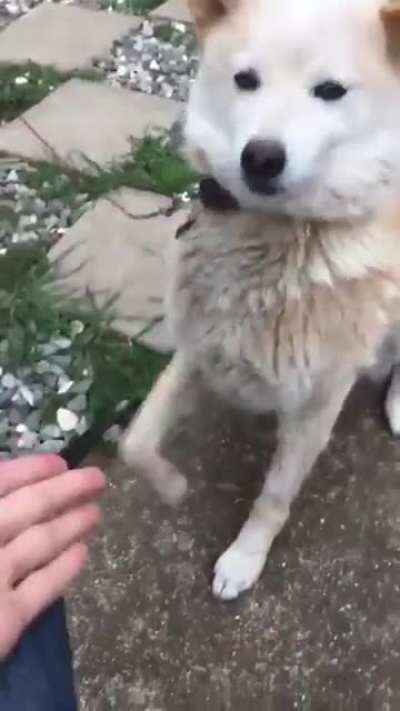 High Five goes wrong!