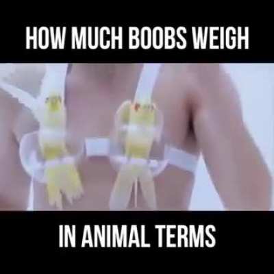 Blursed Japanese 