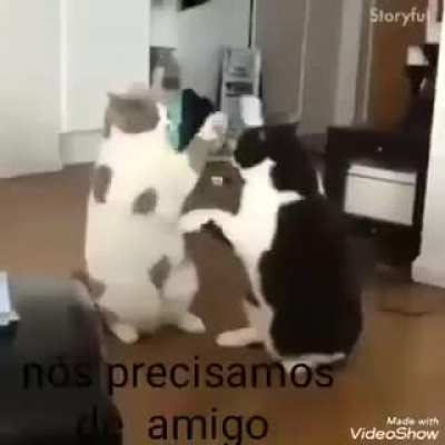 V&iacute;deo muito lindo chorei 😭😭😭