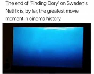 Wtf dory