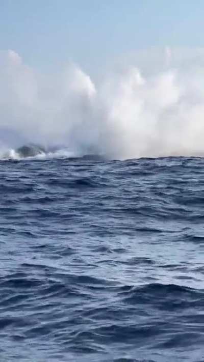 Mama whale breaches followed closely by her calf
