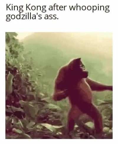 Monke funny and strong