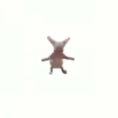 Bingus