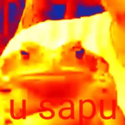 U sapu