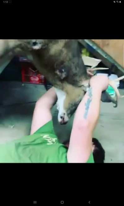 NSFW redneck thing