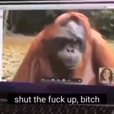 a monke