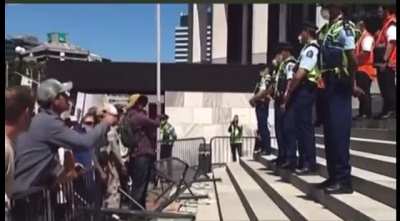 Protestors storm New Zealand Parliament.. then remember they&rsquo;re from New Zealand