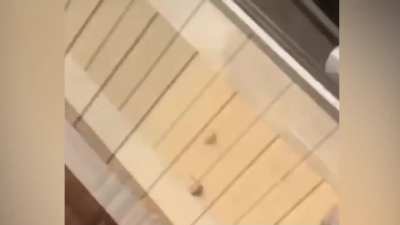 In quale citt&agrave; amico mioooo???