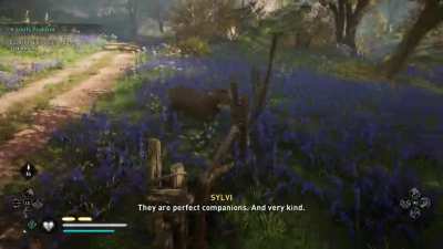Befriending wild animals in AC Valhalla