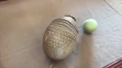 Stokes catch drop replay
