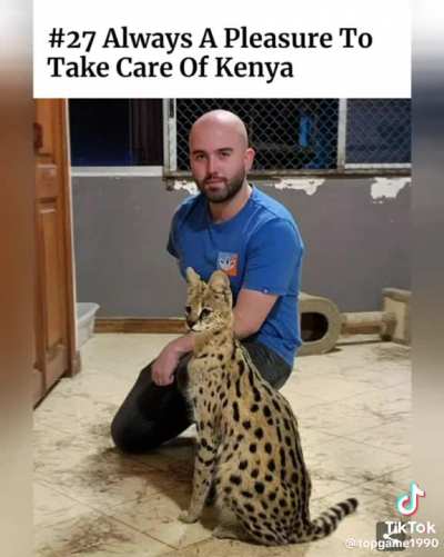 A visit to the veterinarian