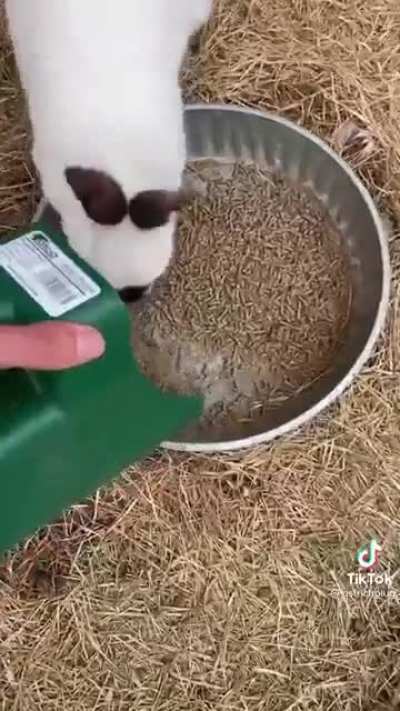 Hmmmm
