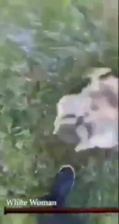 Bro needs to stop panic rolling