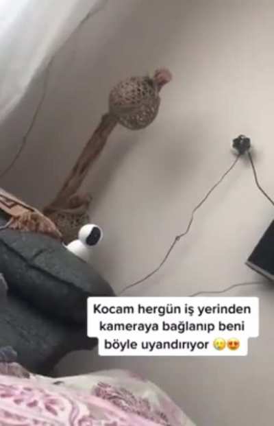 Big brother gibi kocan var amk