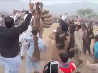 Team celebrates their camel winning world camel weightlifting tournament