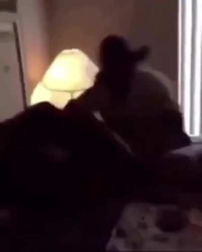 Rip Bro lol