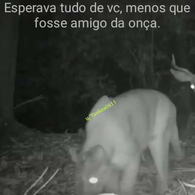 N&atilde;o acredito ... Como voc&ecirc; foi capaz disso ;(