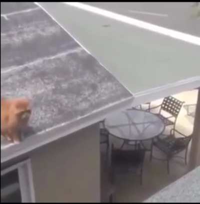 Didn&rsquo;t stick the landing