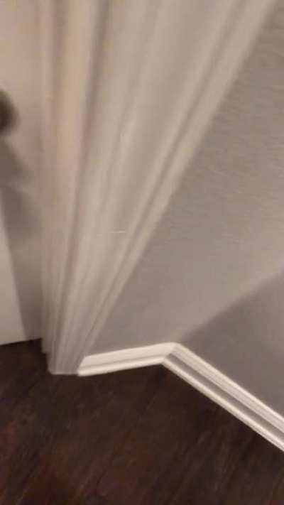 Why