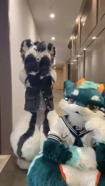 dance_irl