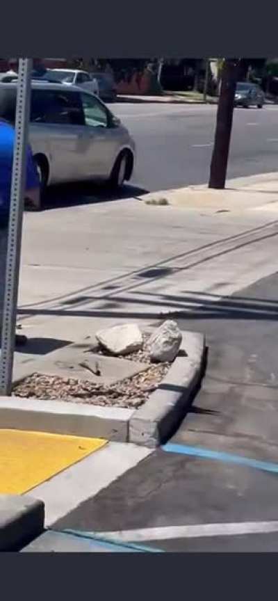 Gentleman takes to much, gets into a car accident, and turns into Terminator