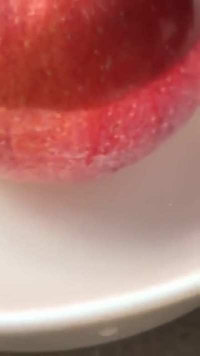 Its edible dumbass