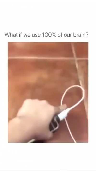 100% of Brain
