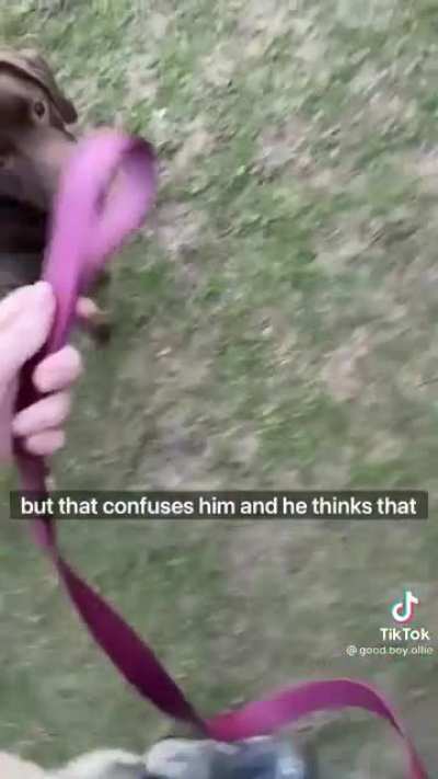 🙈🙈
