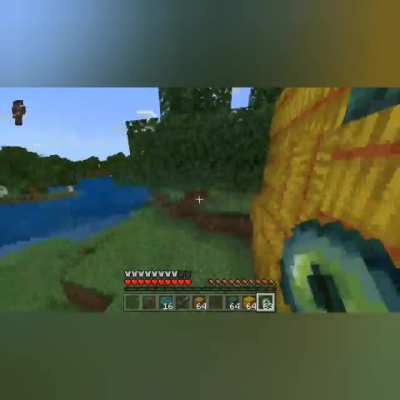 Mine Raft peed run (gon Rong)