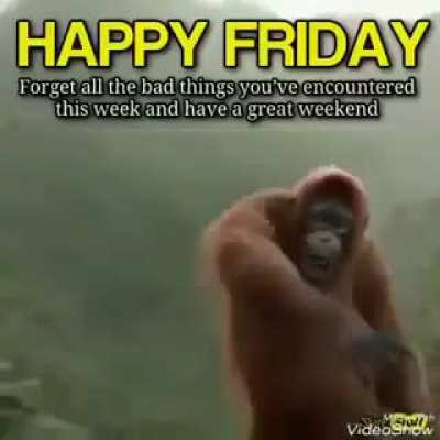 It is not wednesday my dudes, its friday :)