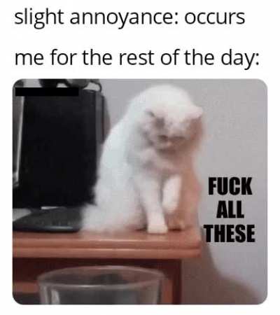 Anybody else do this?