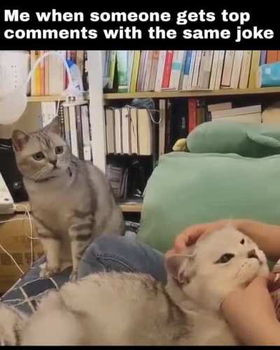 me_irl