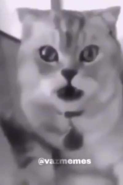F 😔
