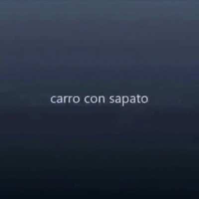 carro con sapato