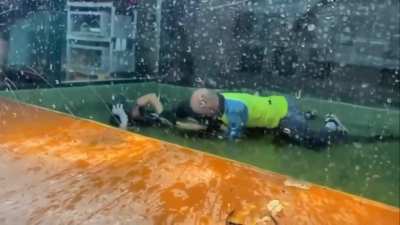 Human Bro Jumps in Gator Pit When Keeper Attacked