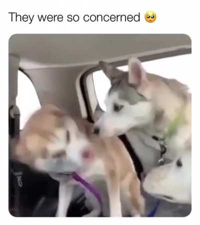 Bro, you ok?