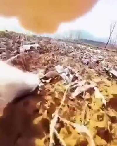 How a typical day looks like for a cat