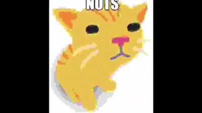 ca t