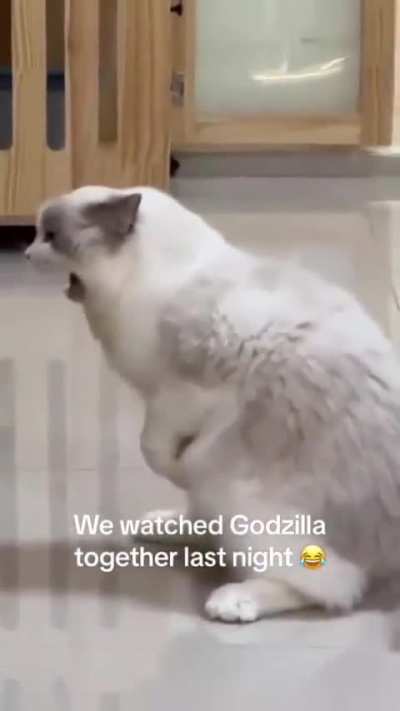 RAAAWER-