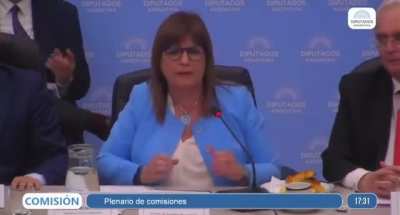 Ministra Bullrich en el Plenario de comisiones: “¿Qué es un arma impropia? Un mortero en medio de las plaza de los dos congresos es un arma impropia”