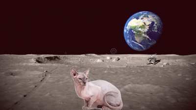 Moon Level be like