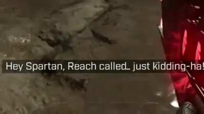 Little bitch