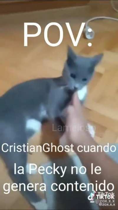 Maltratador 😠😠