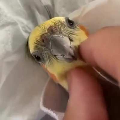 Look at those eyes
