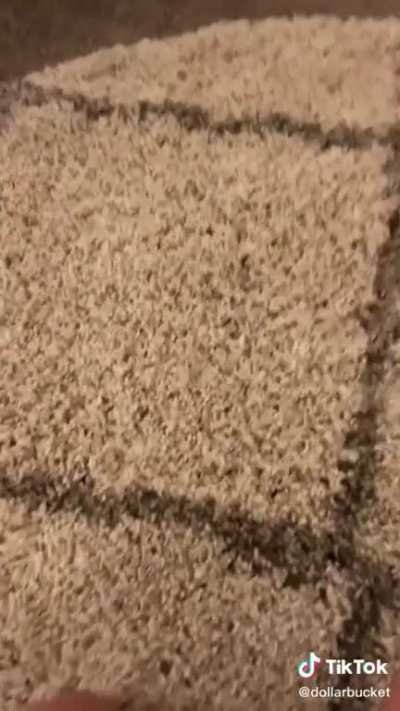The bug rug